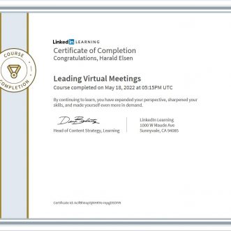 Leading Virtual Meetings